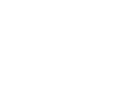 Fortes Brand