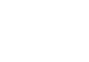 THE FORTES COMPANY
